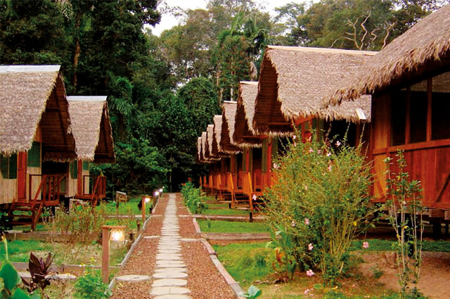 Tour Isla de los Monos