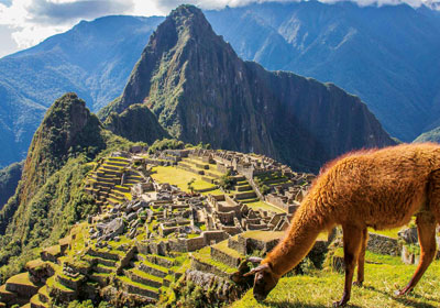 Tour Machu Picchu Full Day